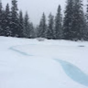 Meet your Posher, Robi